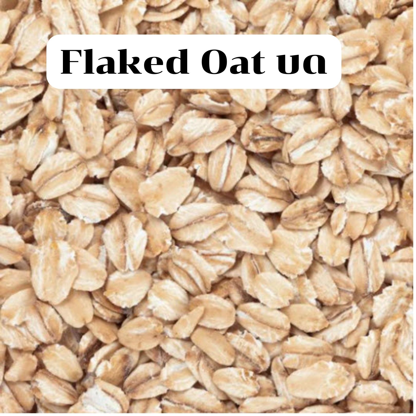 Flaked Oats Flaked Oat (เฟลคโอ๊ต) - supportcraft